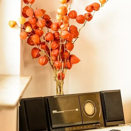 Spreewaldferienhauser Am Deich 아파트